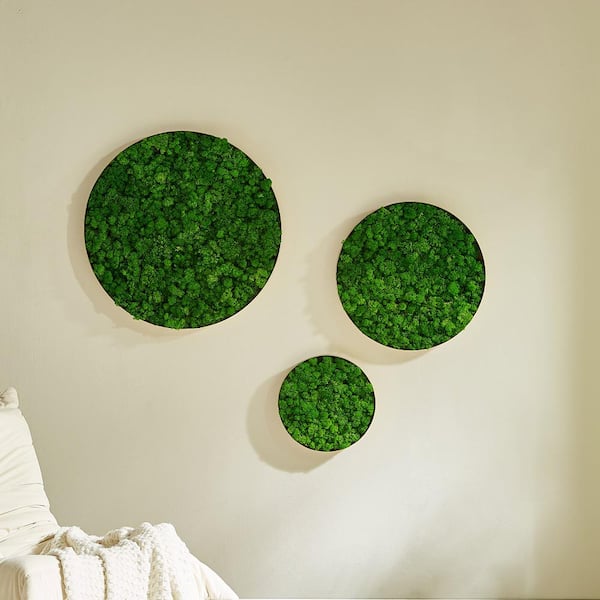 1 Pack Round Framed Moss Metal Gold and Green Wall Decor Wall Greenery Art Print Natural Moss 24 in. x 24 in.