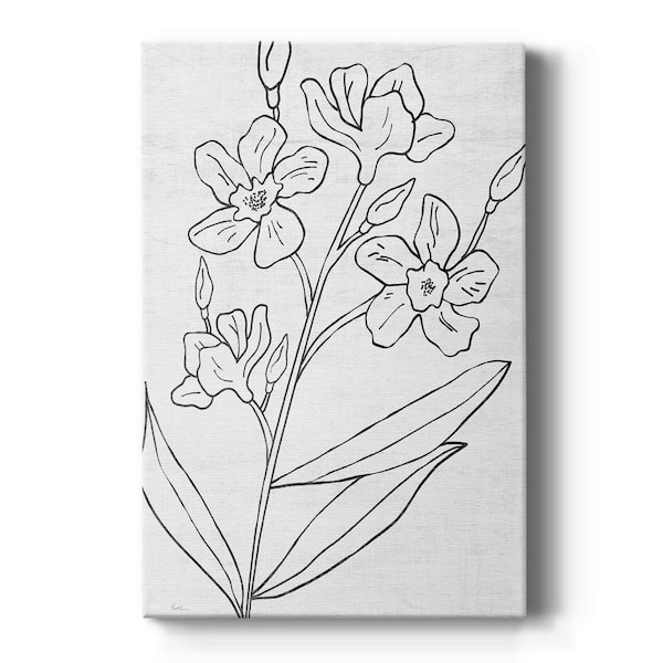 Wexford Home Botanical Sketch I by Wexford Homes Unframed Giclee Home Art Print 18 in. x 12 in.