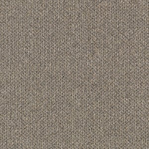 Social Network I  - Cement - Brown 21 oz. Nylon Loop Installed Carpet