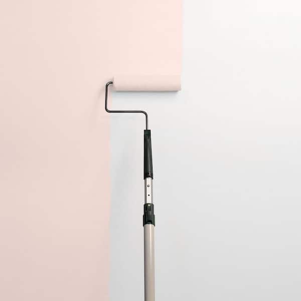 Fiesta PPG1065-2 Paint