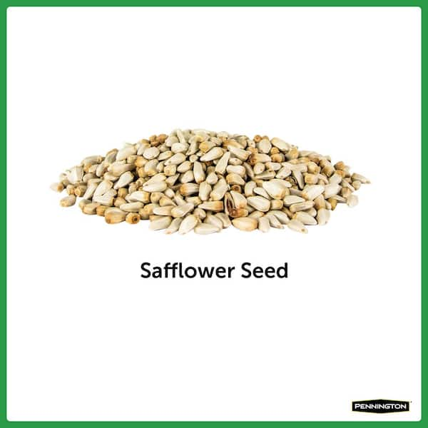 home depot safflower bird seed