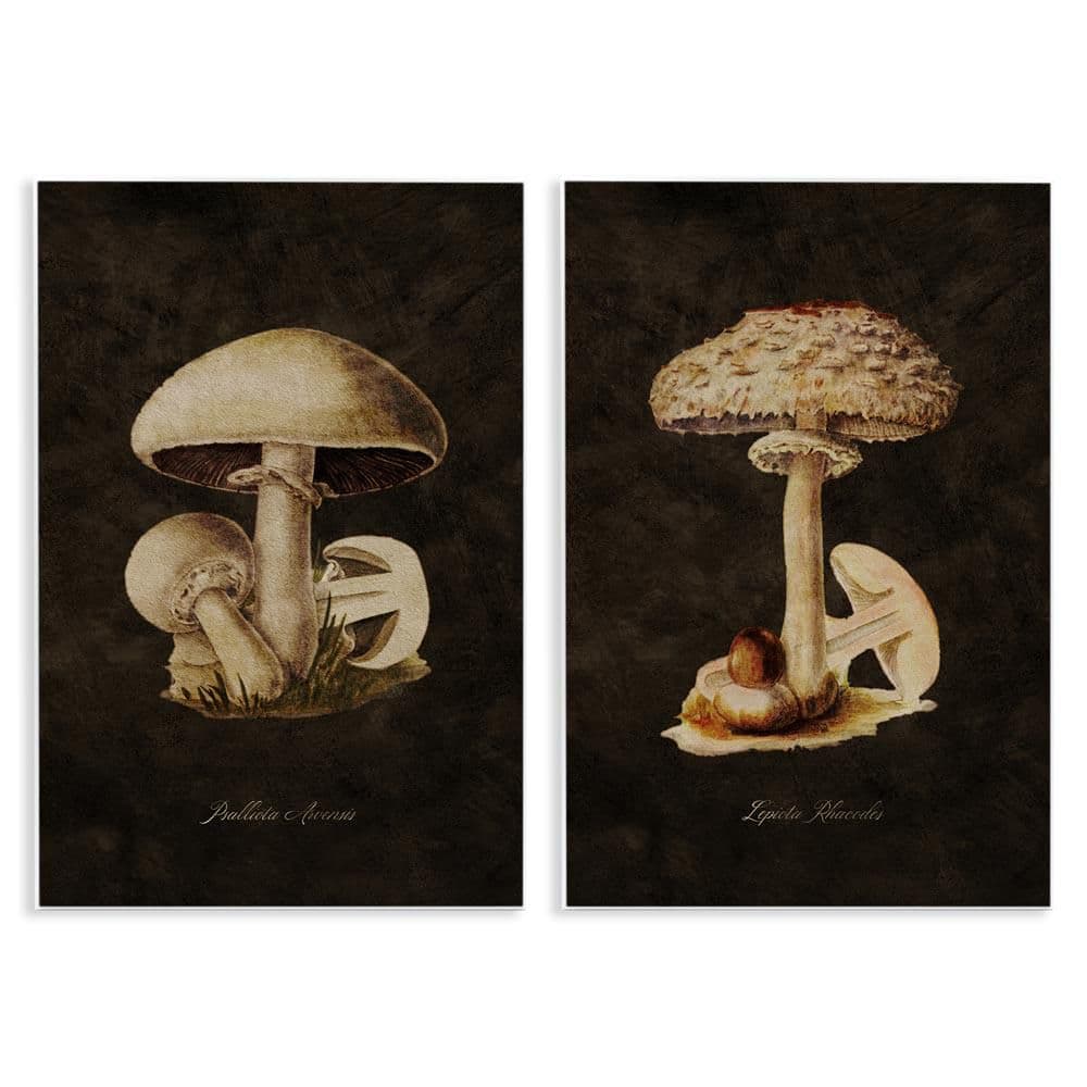 Vintage Mushrooms on Black by Tina Higgins Designs, Inc. 2-Pieces Unframed Nature Graphic Art Print 15 in. x 10 in. price history on PriceWatchPro
