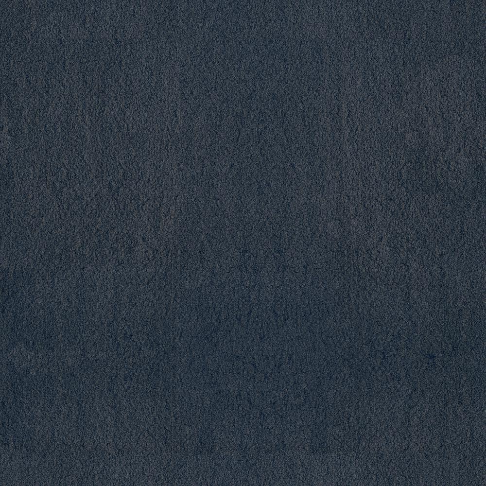 8 in. x 8 in. Texture Carpet Sample - Dreamy Daze II -Color Lark price history on PriceWatchPro