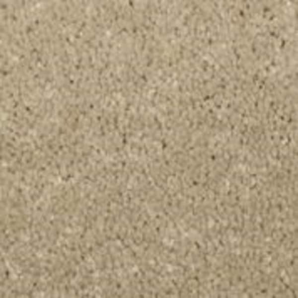Home Decorators Collection Sycamore II - Linden - Brown 58 oz. SD Polyester Texture Installed Carpet