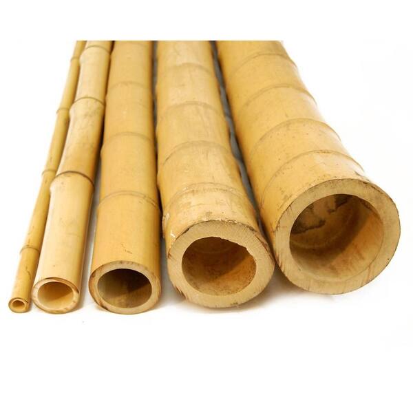 Backyard X-Scapes 5 in. D x 8 ft. H Natural Bamboo Poles (2-Piece/Bundle)-DISCONTINUED