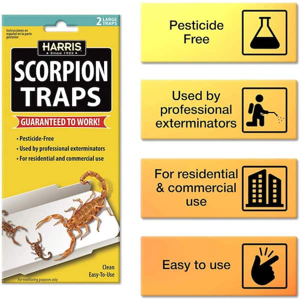 Scorpion Roach Traps Multi-pack Insect trap catchmaster 288-1 #Scorpionproblem 