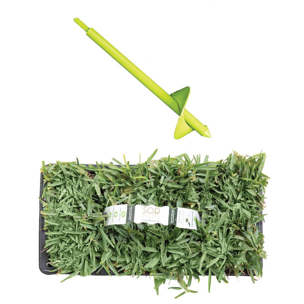 St Augustine Sod/CitraBlue Grass Plugs 16-Count/SP Power Planter Bundle - Natural, Affordable Lawn Improvement price history on PriceWatchPro
