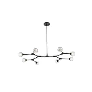 Timeless Home 45 in. 8-Light Black And Clear Pendant Light
