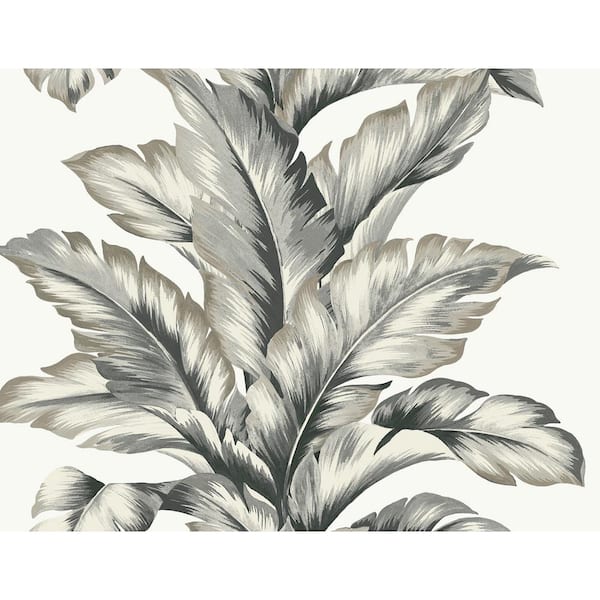 LILLIAN AUGUST 60.75 sq. ft. Coastal Haven Greystone Banana Springs Embossed Vinyl Unpasted Wallpaper Roll