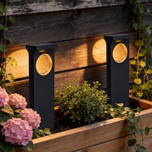 Low Voltage Black Solar Integrated LED Weather Resistant Outdoor Landscape Path Light (12-Pack)