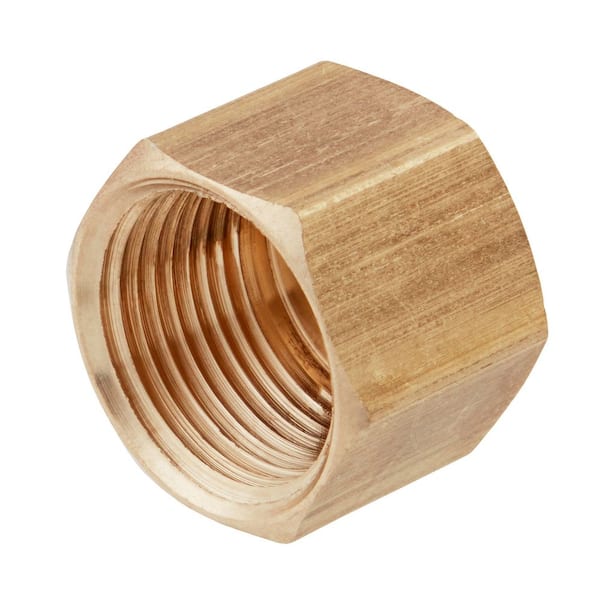 3/4 in. FIP Brass Cap Fitting
