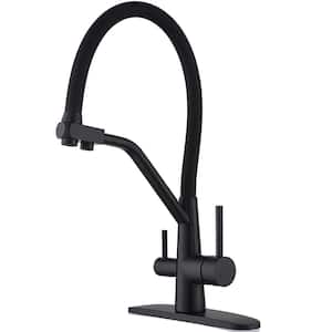 Dynamic Dual Handle Pull Out Sprayer Kitchen Faucet Deckplate Included in Stainless Steel Matte Black