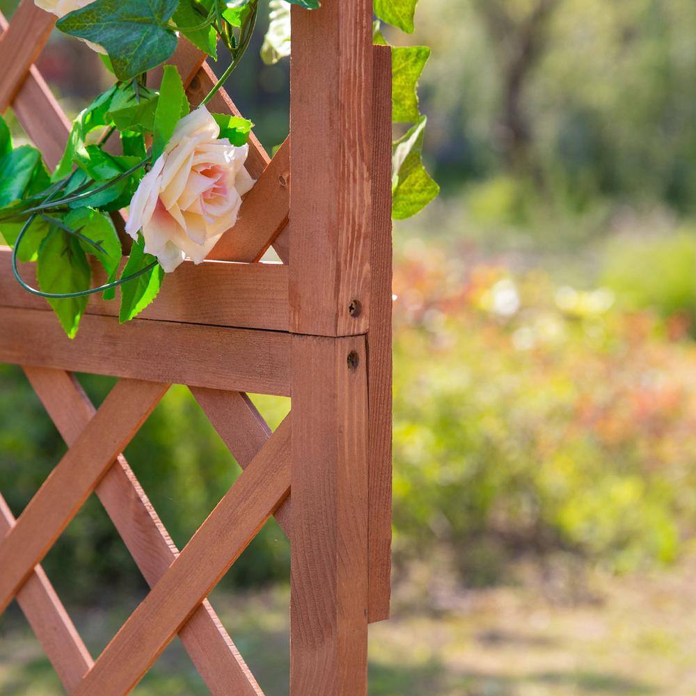 Elevated Natural Wood Garden Bed with Climbing Trellis
