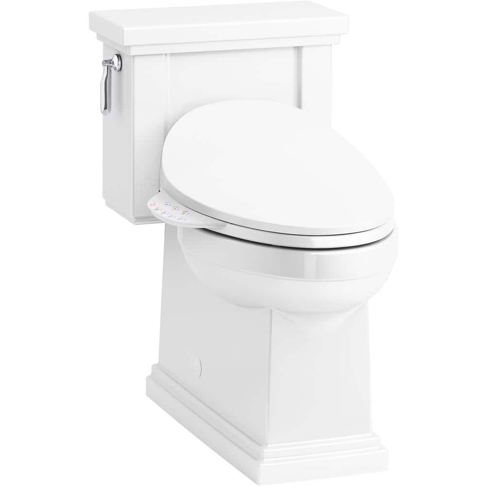 KE KING Elongated Toilet Seat Bidet & Reviews