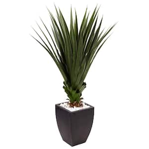 Indoor/Outdoor Spiked Agave Artificial Plant in Black Planter
