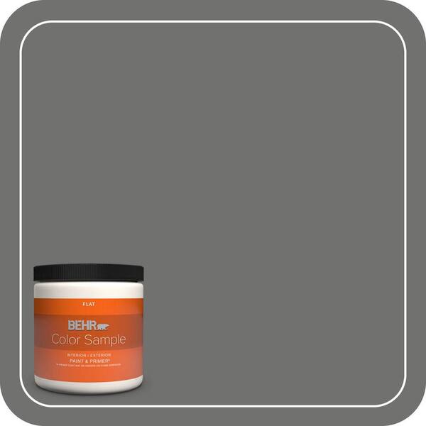 BEHR PREMIUM PLUS 8 oz. #MQ2-61 Magnet Flat Interior/Exterior Paint & Primer Color Sample