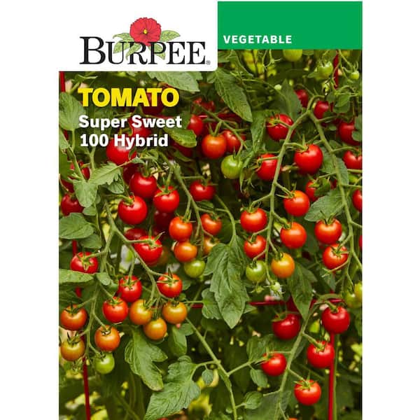 Tomato Cherry Super Sweet 100 Hybrid Vegetable Seed