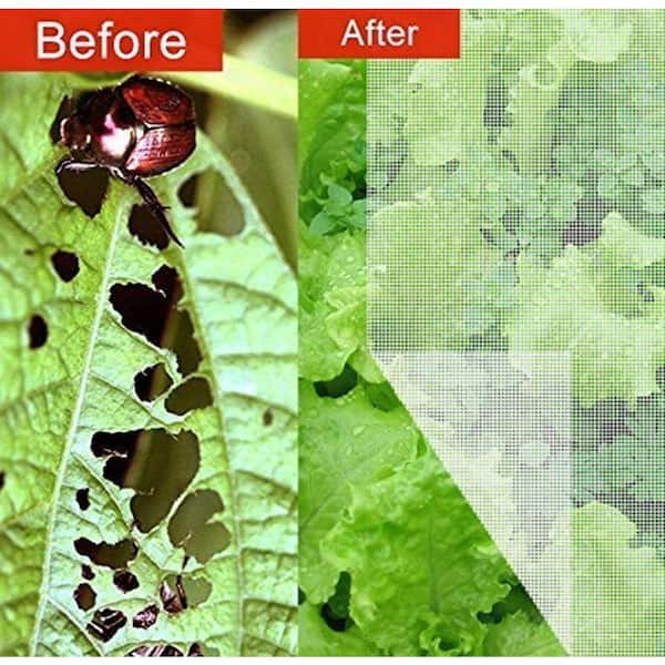 Plant Netting Enhances Container Gardening - Bird B Gone LLC