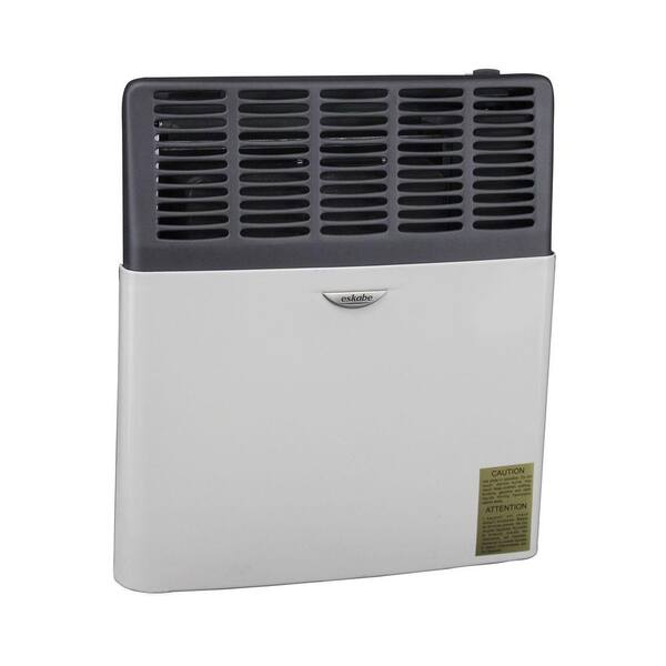 Ashley Hearth Products 8,000 BTU Natural Gas Direct Vent Heater