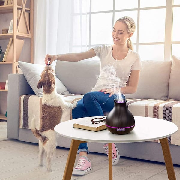Afoxsos Aromatherapy Essential Oil Diffuser, 550ml