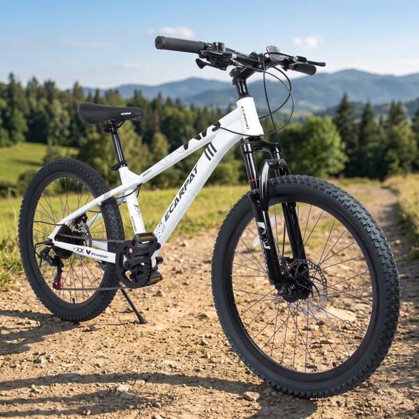 24 inch 21 Speed Mountain Bike with Front Suspension, Dual Disc