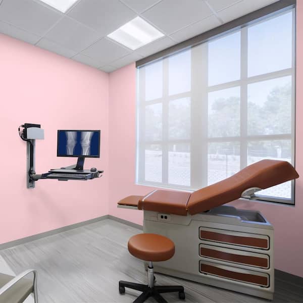 1 gal. #120C-1 April Blush Dead Flat Interior Paint