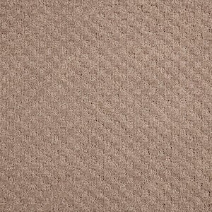 Shiloh Point  - Cavern - Brown 40 oz. Triexta Pattern Installed Carpet