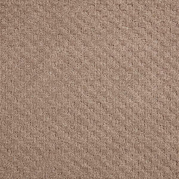 Lifeproof Shiloh Point  - Cavern - Brown 40 oz. Triexta Pattern Installed Carpet
