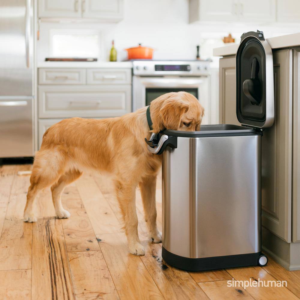 Large Brushed Stainless Steel Airtight Pet Food Storage Container