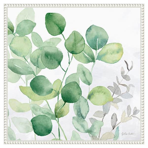 Amanti Art Eucalyptus Leaves II by Cynthia Coulter 22 in. W x 22 in. H Canvas Float Frame in White