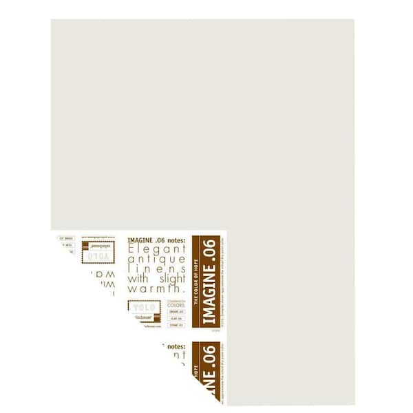 YOLO Colorhouse 12 in. x 16 in. Imagine .06 Pre-Painted Big Chip Sample