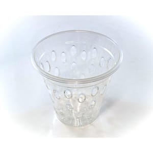 5 in. Clear Plastic Orchid Pot