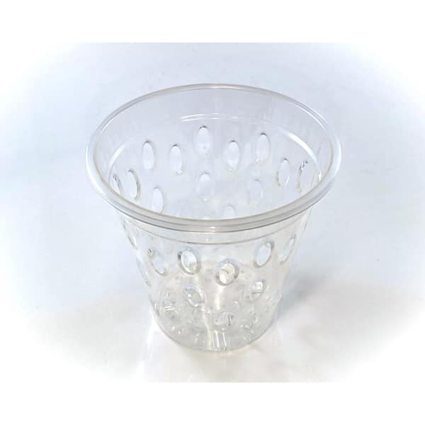 Unbranded 5 in. Clear Plastic Orchid Pot