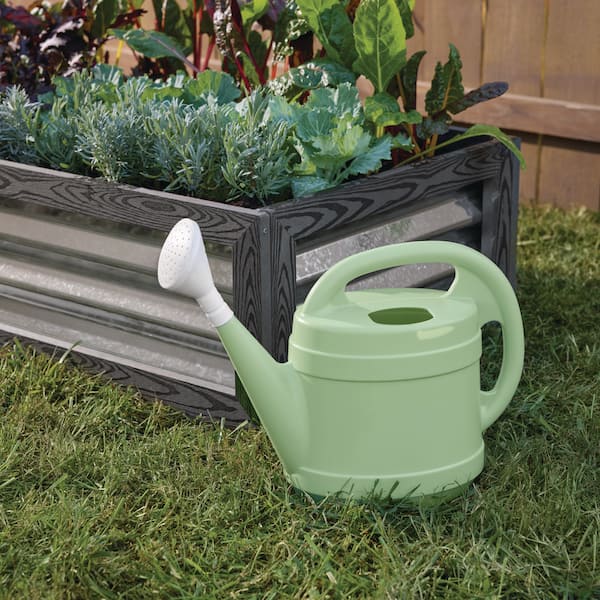 Vigoro 2 Gal. Rosemary Green Modern Multi-Grip High-Density