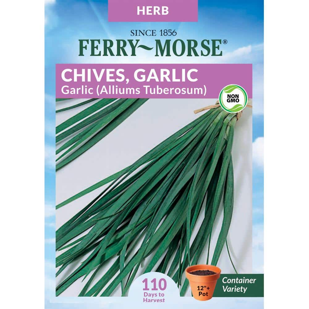 Ferry-Morse Chives Garlic Herb Seed 0067 - The Home Depot