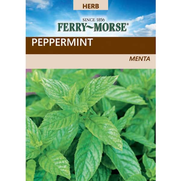Peppermint Herb Seed