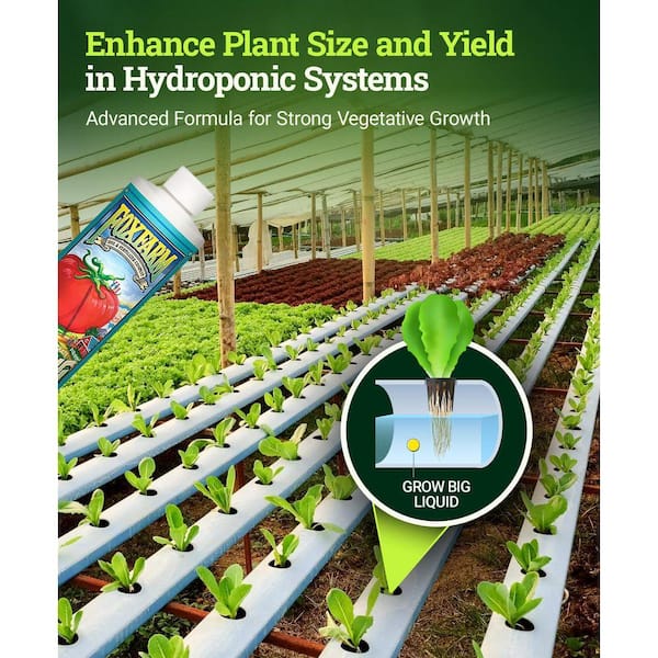 lotus plant seeds for sale Lotus Seeds for Sale main image 0