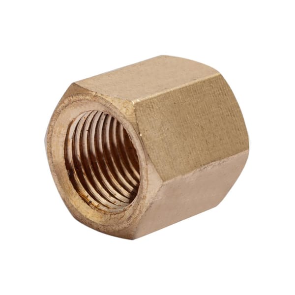 LTWFITTING 1/8 in. FIP Brass Pipe Cap Fitting (10-Pack)