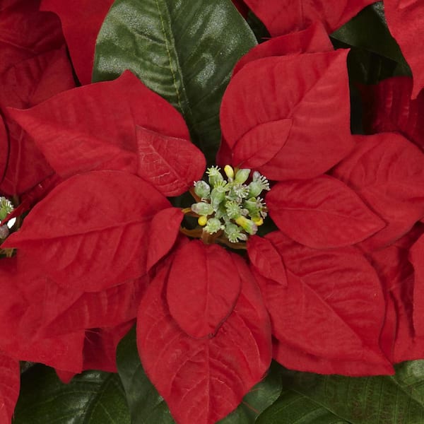 16.5in. H Red Poinsettia with White Wash Planter Silk Arrangement
