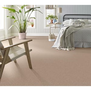 Urban Artifact I - Adobe - Brown 46.8 oz. Nylon Texture Installed Carpet