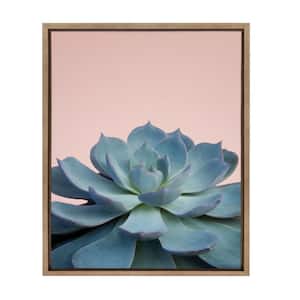 Sylvie "Succulent 10" by F2Images Framed Canvas Wall Art