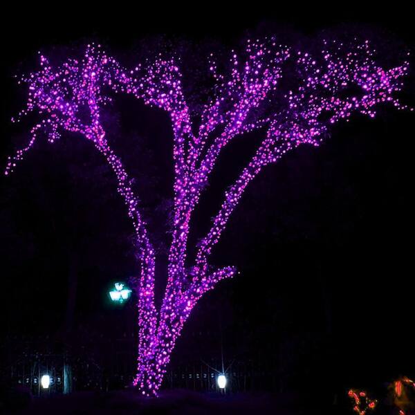 Angel Sar 100 ft. Halloween 300 LED String Lights with 8 Lighting