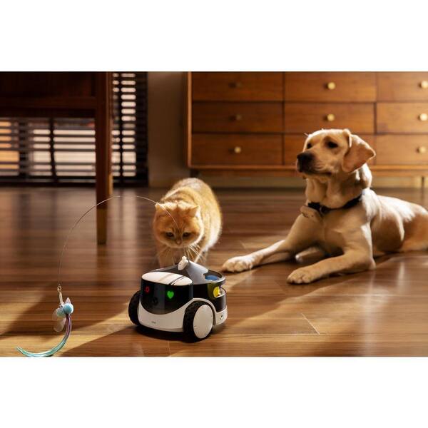 Enabot ROLA PetPal Smart Play Accessory ROLA PetPal Interactive