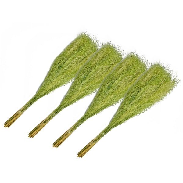 21 in. Light Green Indoor Non Artificial Dried Preserved Buddha Dust-Pack of 4