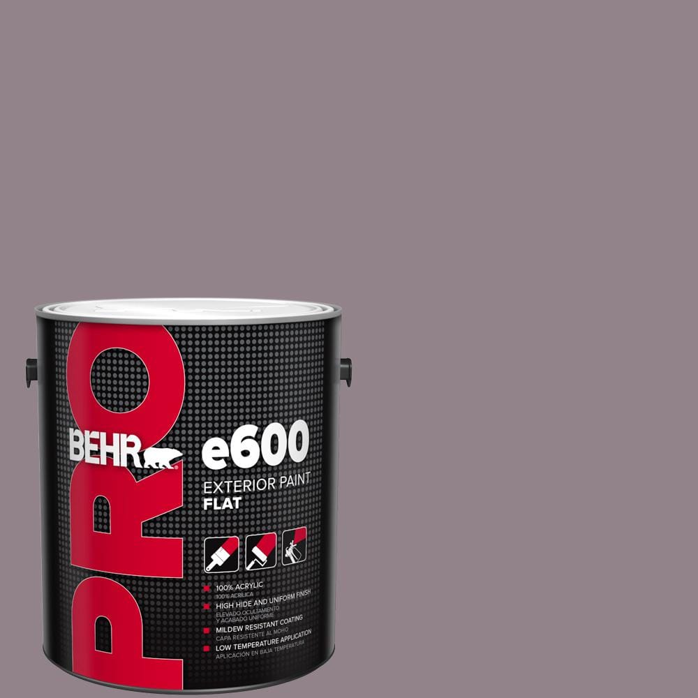 1 gal. #N110-4 Gothic Purple Flat Exterior Paint price history on PriceWatchPro