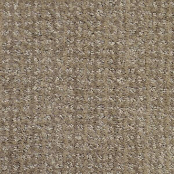 Lifeproof Carpet Sample - Fashion Feature - Color Pocono Pattern 8 in. x 8 in.