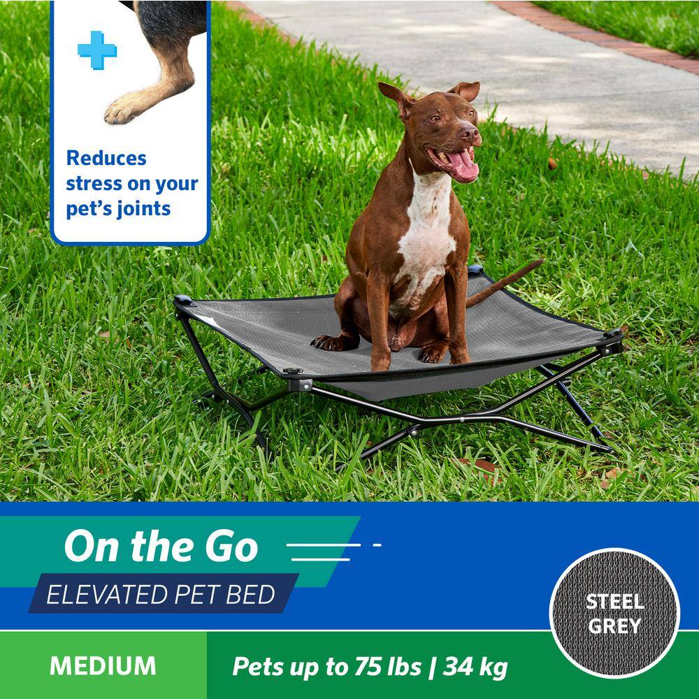 Medium Steel Gray Elevated Outdoor Pet Bed with Alloy Steel Frame