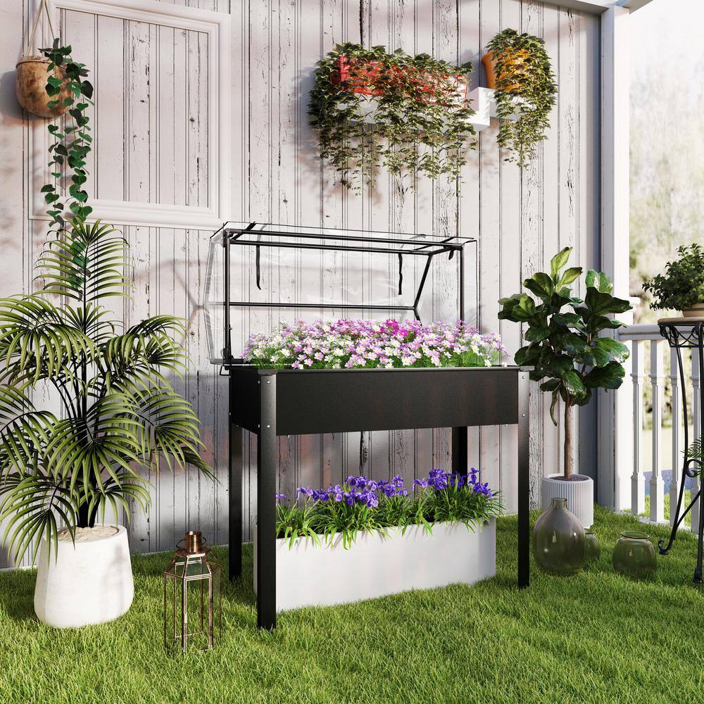 Black Steel Raised Garden Bed with Clear Greenhouse Cover