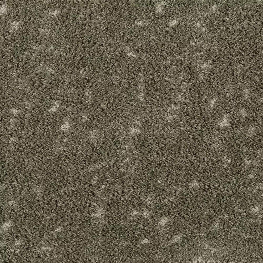 8 in. x 8 in. Pattern Carpet Sample - Tender Tomes - Color Sage price history on PriceWatchPro