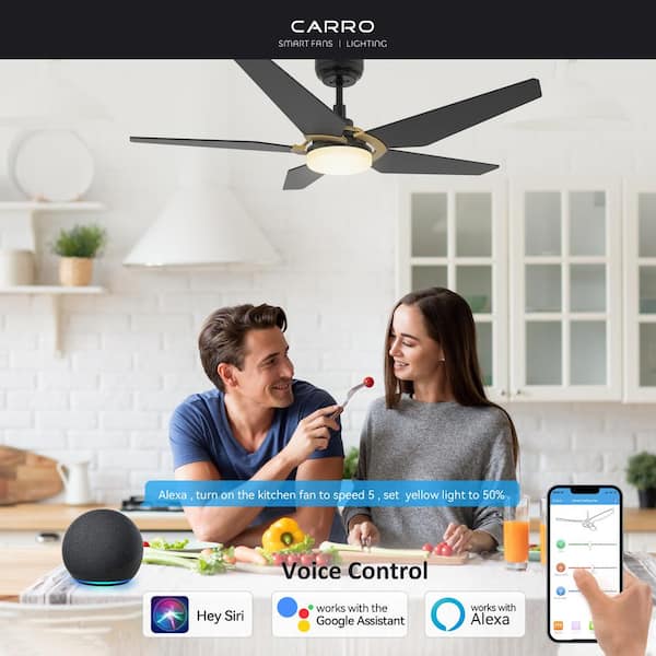 Voyager 52 in. Dimmable LED Indoor/Outdoor Black Smart Ceiling Fan with Light and Remote, Works w/Alexa/Google Home